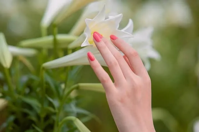Simple ideas into stunning nail designs